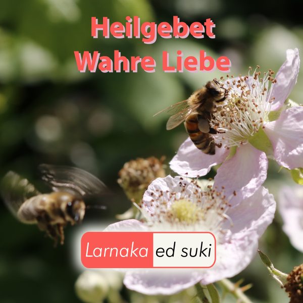 Heilgebet Wahre Liebe Cover